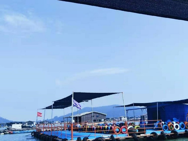 CQ9(电子中国)官方网站