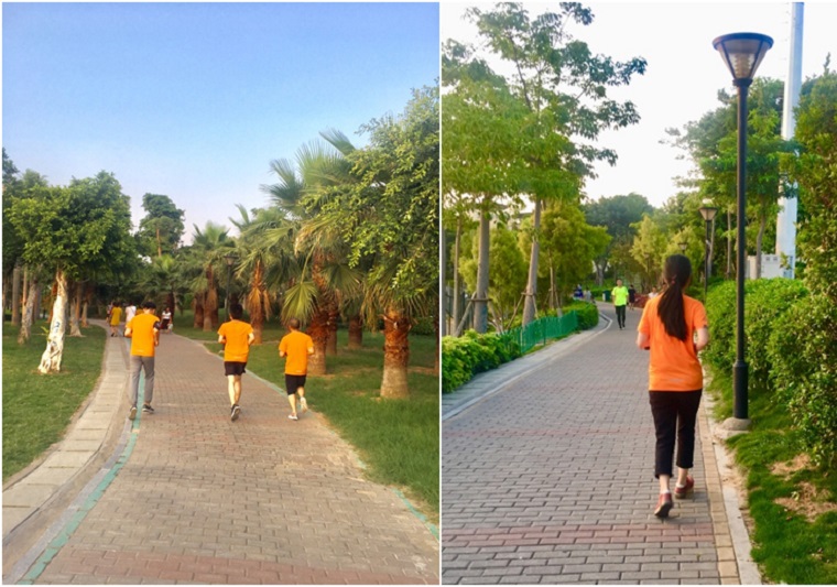 CQ9(电子中国)官方网站