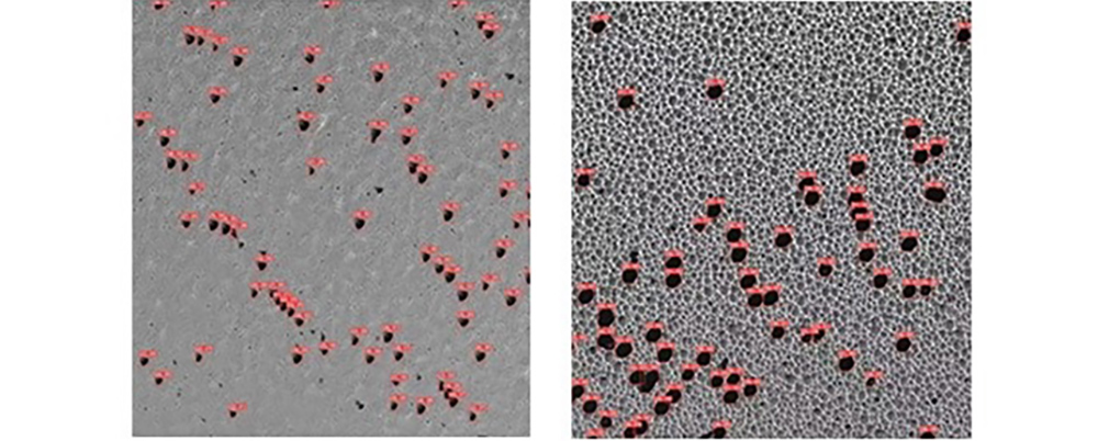 CQ9(电子中国)官方网站