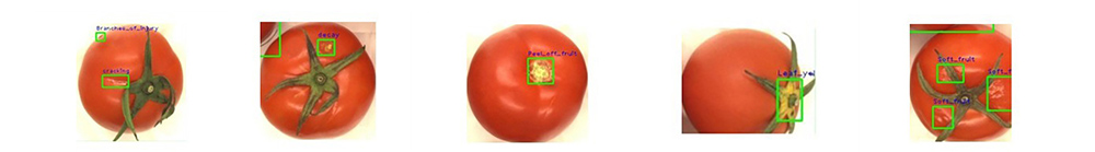 CQ9(电子中国)官方网站